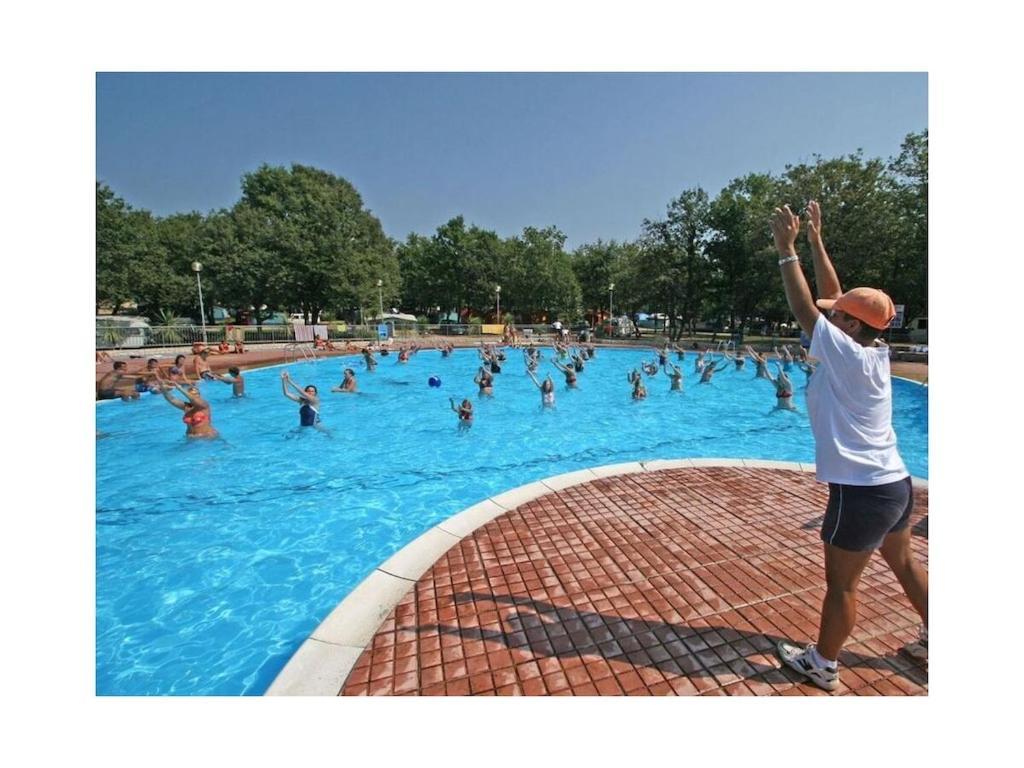 In With Swimming Pool